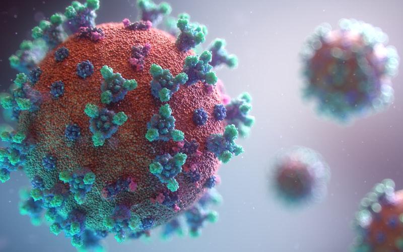 Risiko Ebola untuk Piala Dunia 2026 'Sangat Rendah', Kata Ahli