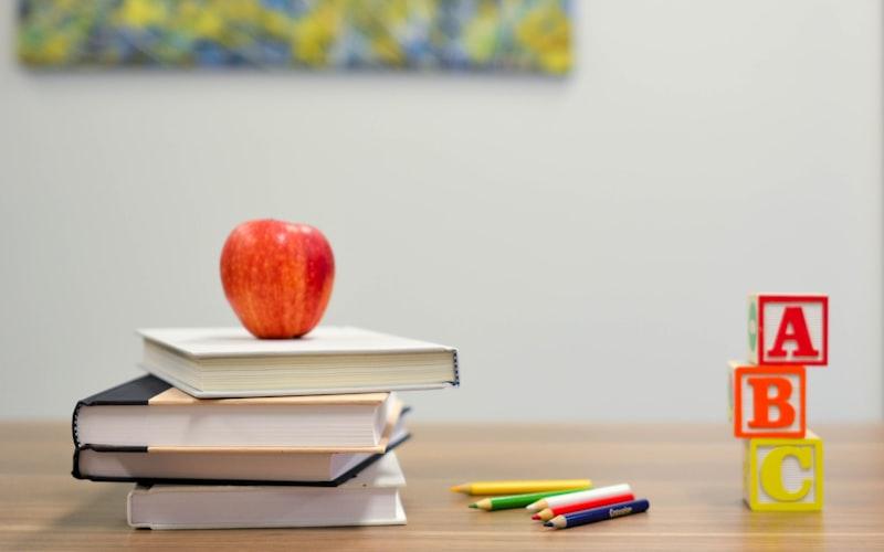 Program Literasi Digital Jangkau 50 Juta Warga