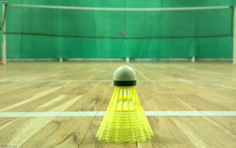 Akhiri Puasa Gelar, Ganda Putra Indonesia Rajai Turnamen All England 2026